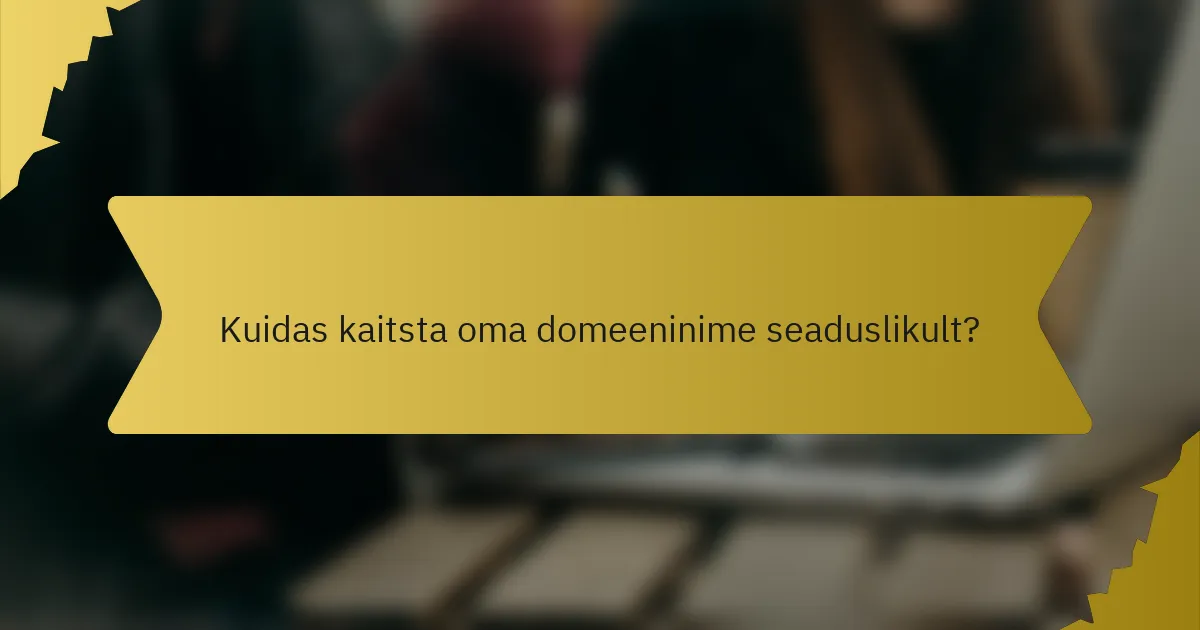 Kuidas kaitsta oma domeeninime seaduslikult?