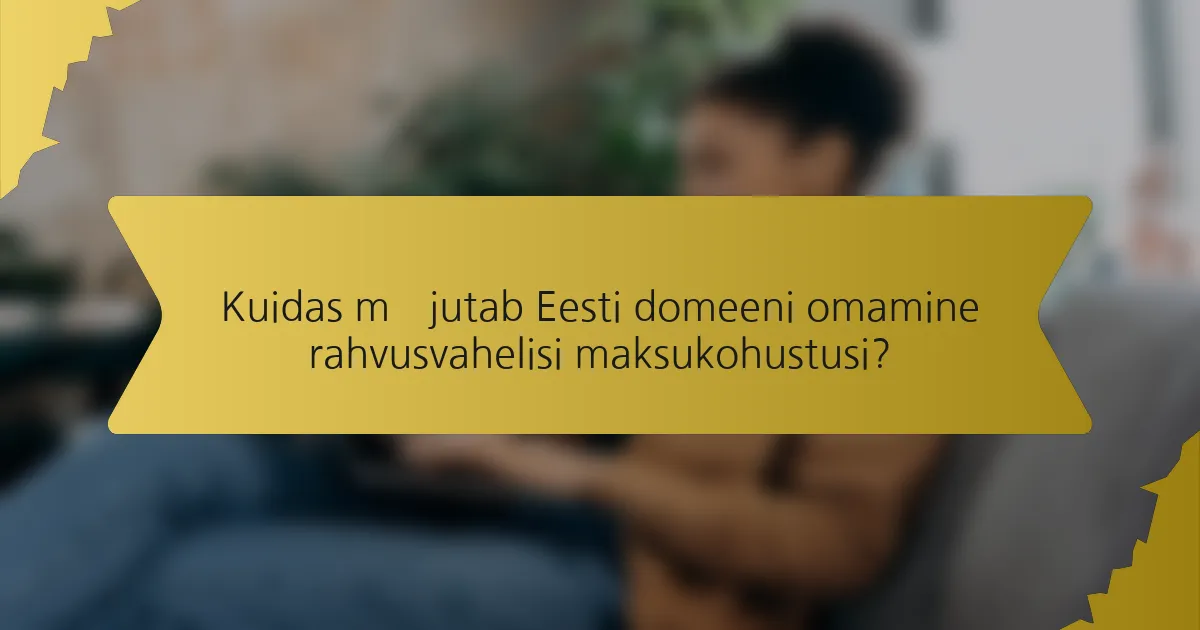 Kuidas mõjutab Eesti domeeni omamine rahvusvahelisi maksukohustusi?