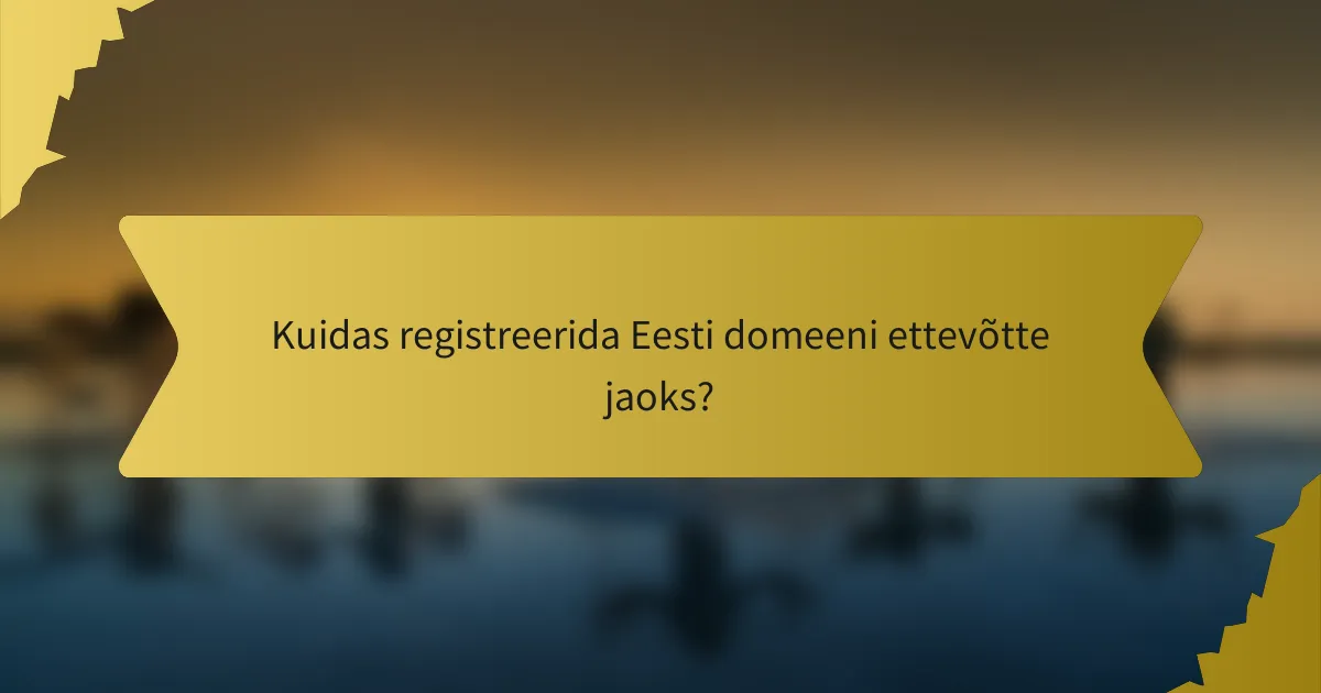 Kuidas registreerida Eesti domeeni ettevõtte jaoks?