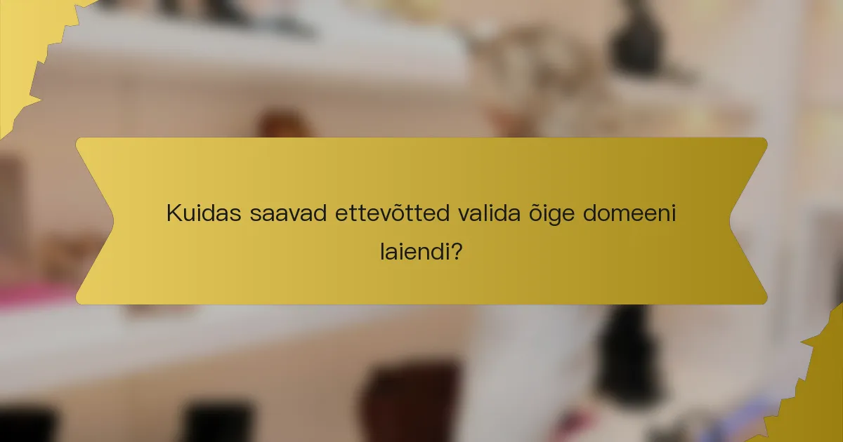 Kuidas saavad ettevõtted valida õige domeeni laiendi?