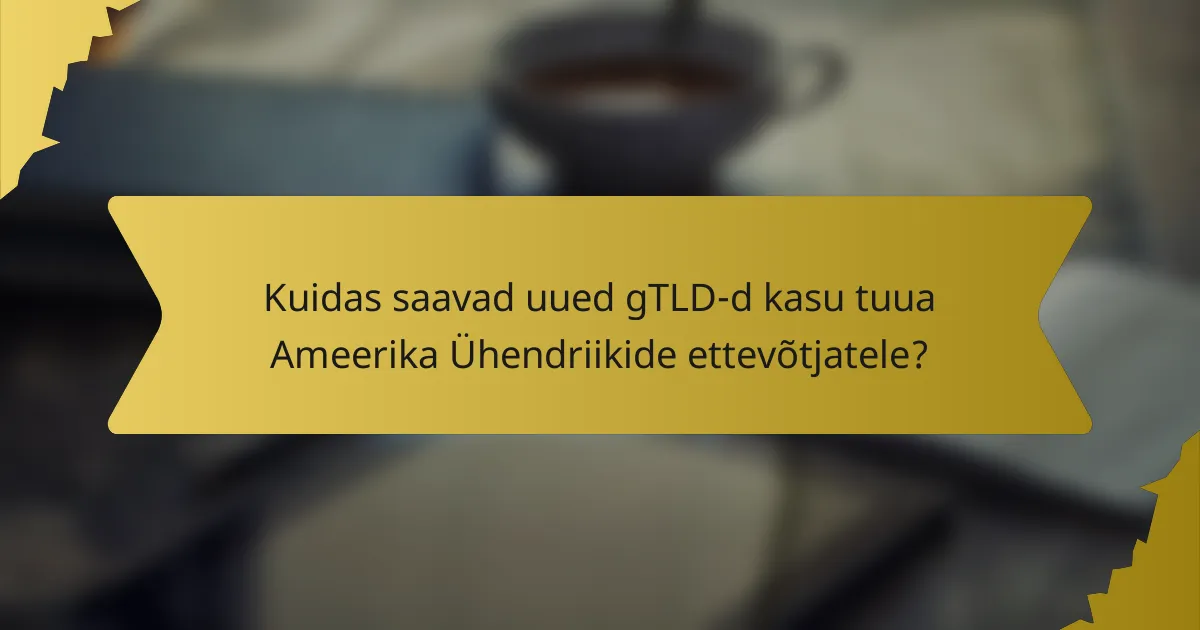 Kuidas saavad uued gTLD-d kasu tuua Ameerika Ühendriikide ettevõtjatele?