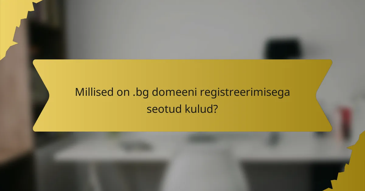 Millised on .bg domeeni registreerimisega seotud kulud?