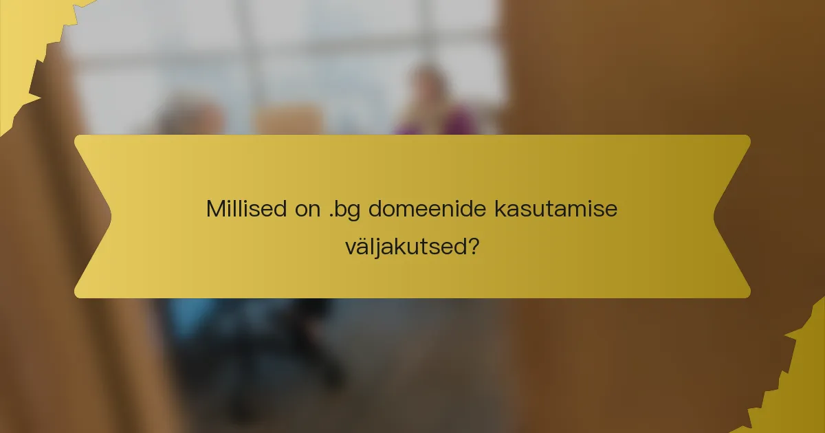 Millised on .bg domeenide kasutamise väljakutsed?