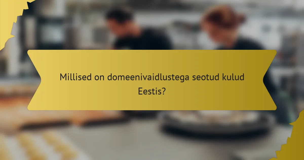 Millised on domeenivaidlustega seotud kulud Eestis?