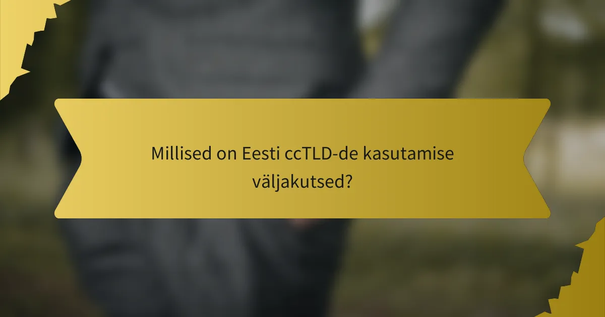 Millised on Eesti ccTLD-de kasutamise väljakutsed?