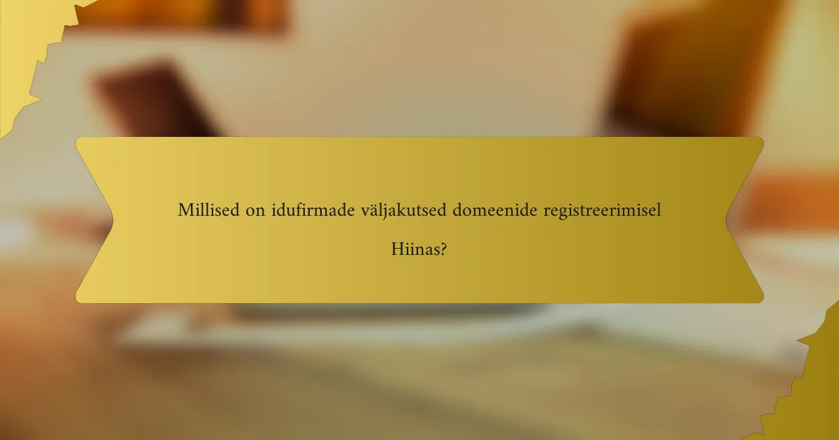 Millised on idufirmade väljakutsed domeenide registreerimisel Hiinas?