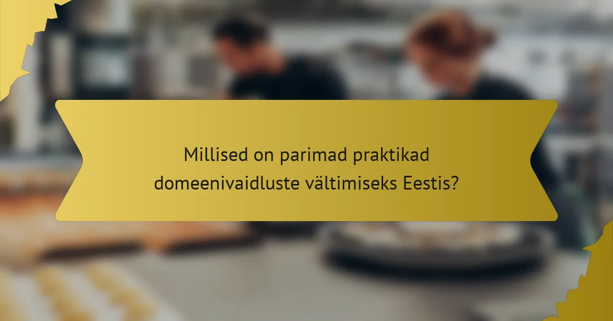 Millised on parimad praktikad domeenivaidluste vältimiseks Eestis?