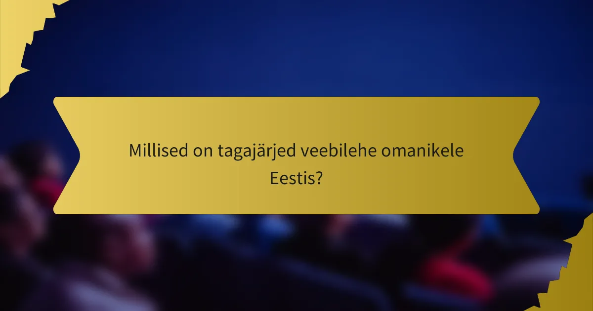 Millised on tagajärjed veebilehe omanikele Eestis?