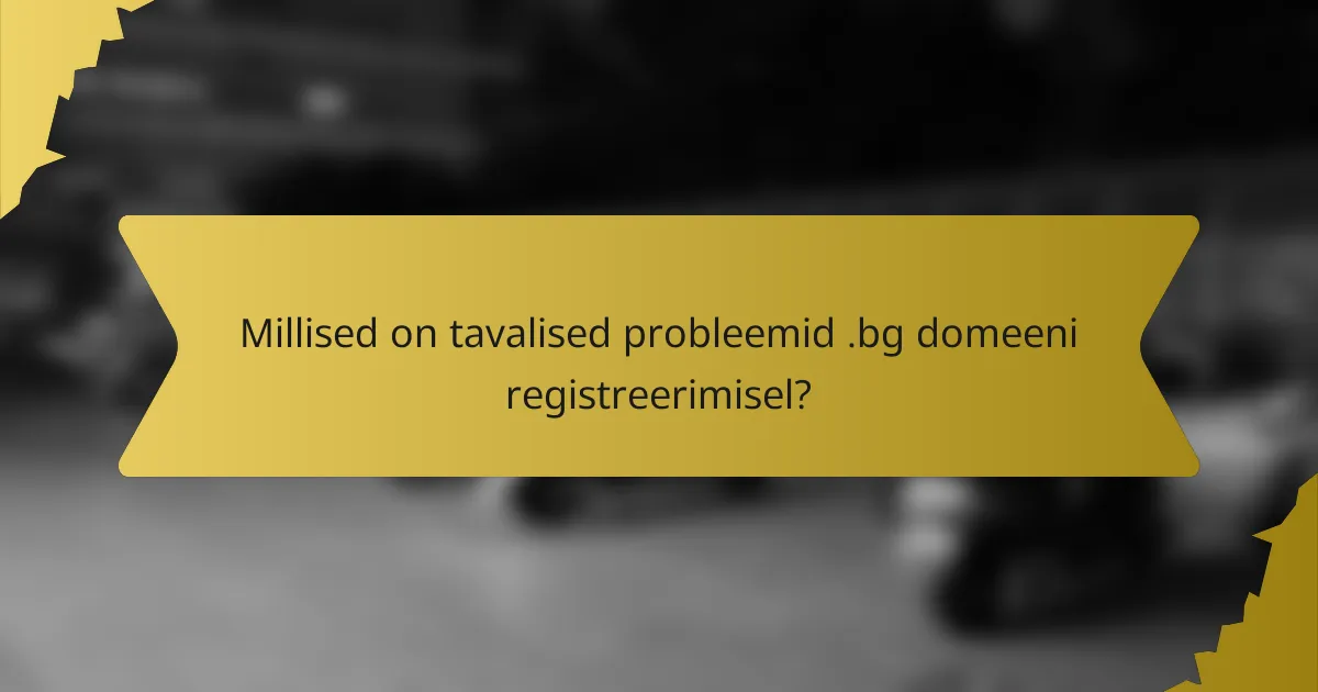 Millised on tavalised probleemid .bg domeeni registreerimisel?
