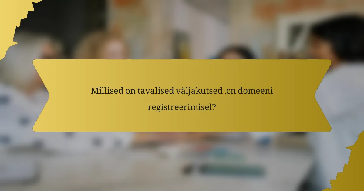 Millised on tavalised väljakutsed .cn domeeni registreerimisel?