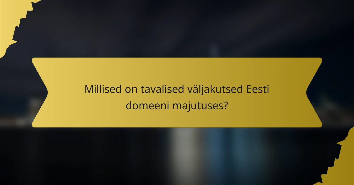 Millised on tavalised väljakutsed Eesti domeeni majutuses?