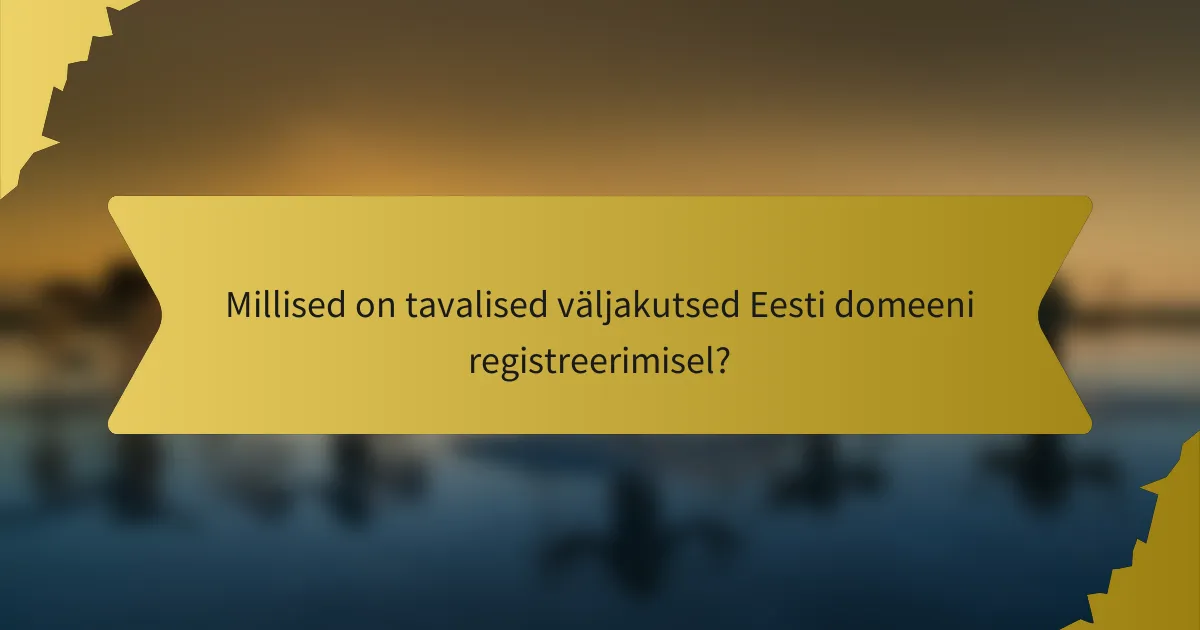 Millised on tavalised väljakutsed Eesti domeeni registreerimisel?
